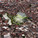 Global Holcim Awards Silver 2012: Urban remediation and civic infrastructure hub, São Paulo, Brazil by Alfredo Brillembourg and Hubert Klumpner, Urban Think Tank, Brazil: Transforming a void into a productive zone and dynamic public space. (Image © Holcim Foundation)
