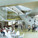 The central block and the social areas (Image courtesy of OMA)