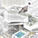 Honorable Mention: Dennis Kam Fung Lui, The University of Hong Kong (China)