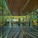 Maggie’s Centre, Gartnavel, Glasgow by OMA (Photo: Philippe Ruault)