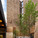 Morse and Ezra Stiles Colleges; New Haven, CT (Photo: Peter Aaron/OTTO)