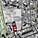 The Site. Raval District