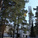 Belfry visible in the approach to Vuoksenniska Church (Church of 3 Crosses), Vuoksenniska, Finland 1958