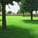 The lush retreat encompassing Adalaj Vav