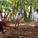 On-site measuring (Photo: Zifeng Wei)