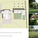 Holcim Gold Award: Locally-manufactured cob and bamboo school building, Jar Maulwi, Pakistan: Adaptation to existing.