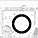 Copyright: Foster + Partners; Apple Inc.