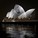 Setting sail … an example of what Urbanscreen has planned. (Image via The Sydney Morning Herald)