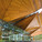 Auckland Art Gallery – Toi o Tamaki, Auckland, New Zealand FJMT + Archimedia - architects in association (Photo: John Gollings )