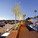 Eels Nest in Echo Park, Los Angeles, CA by Anonymous Architects