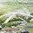 Aerial view close-up (Image: CEBRA)