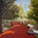 Finalist: Turenscape + Lake|Flato Architects