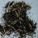 Chopped Basalt Fibers