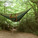 © Tentsile