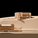 Model Arp Museum - Copyright Barnhard Fries