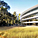 Copyright: Foster + Partners; Apple Inc.