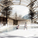 View of sauna on the roof (Image: Djuric Tardio - Scriptogram.com)