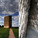 Peter Zumthor, Bruder Klaus Chapel, 2006, Mechernich, Germany. [Photos by Florian Seiffert and Claus Moser]