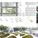 Honorable Mention: Responsibility CBE: Shu Kuei Hsu (student); Seattle, Washington 