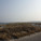 Beach in Copenhagen