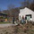 Slope stabilization with native shrubs
