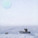 The visual impact of the balloon begins to disappear in spring. Fisherman can access the equipment for maintenance checks after the long winter. 