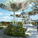 Rendering (Image: Michael Maltzan Architecture)