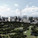 View from west (Image courtesy of OMA)