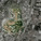 Aerial photo of the PRODAC neighborhood (Image: ateliermob)