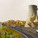 Honorable Mention: Networked Ecologies: Rethinking Remediation