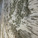 Detail of birch bark wall at Pilke Science Centre