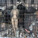 Copenhagen's bizarre taxidermy