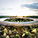 Copyright: Foster + Partners; Apple Inc.
