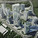 Rendering (Image: 10 Design)