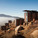 graciastudio, Endemico Resguardo Silvestre, Valle de Guadalupe, Ensenada, Mexico (Photo: Luis Garcia)