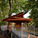Tree Adventure in Philadelphia, PA by Metcalfe Architecture & Design