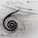 Spiral Jetty