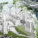 Honorable Mention: Water Rebalance