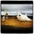 Sparky the Cowfish inflateable had a great day at the beach via Eva Lansberry