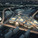 Aerial view of the competition-winning new office building for Nordea Bank in Ørestad North, Copenhagen by Henning Larsen Architects in collaboration with Signal Architects and SLA Landscape Architects (Image: Henning Larsen Architects)