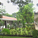 Men's residences