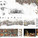 Honorable Mention: CURATIVE PARASITE _ Urban Experiments, Louisa Varelidi, Stella Papazoglou