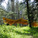 Pine Creek Pavilion in Pine Creek, MT by Artemis Institute