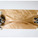 Lepidoptera Deck by Anthony Wilson