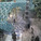 Winner of the Pavillon Spéciale 2012 Competition: Ball Nogues Studio