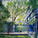 Annie Residence in Austin, TX by Bercy Chen Studio