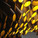 Conepy: Dalen's Duckling at RE gallery + studio in Dallas, Texas by Ryan Woods, Nick Barrett, Josh Atria, Vanessa Ewais