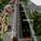 Acknowledgement Prize: Urban renewal and transport circuit, New Delhi, India by Madhav Raman and Vaibhav Dimri, Anagram Architects, India: Aerial view.