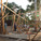 Wood construction coooming up (Photo: Zifeng Wei)