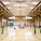 Gymnasium Regis Racine in Drancy, France by ATELIER D'ARCHITECTURE ALEXANDRE DREYSSÉ & Sébastien Muller (Photo: Guillaume Clement / Atelier Dreyssé)